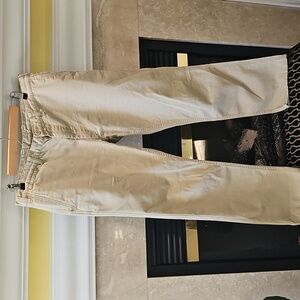 Patagonia Mens Organic Cotton Pants Size 35 Short